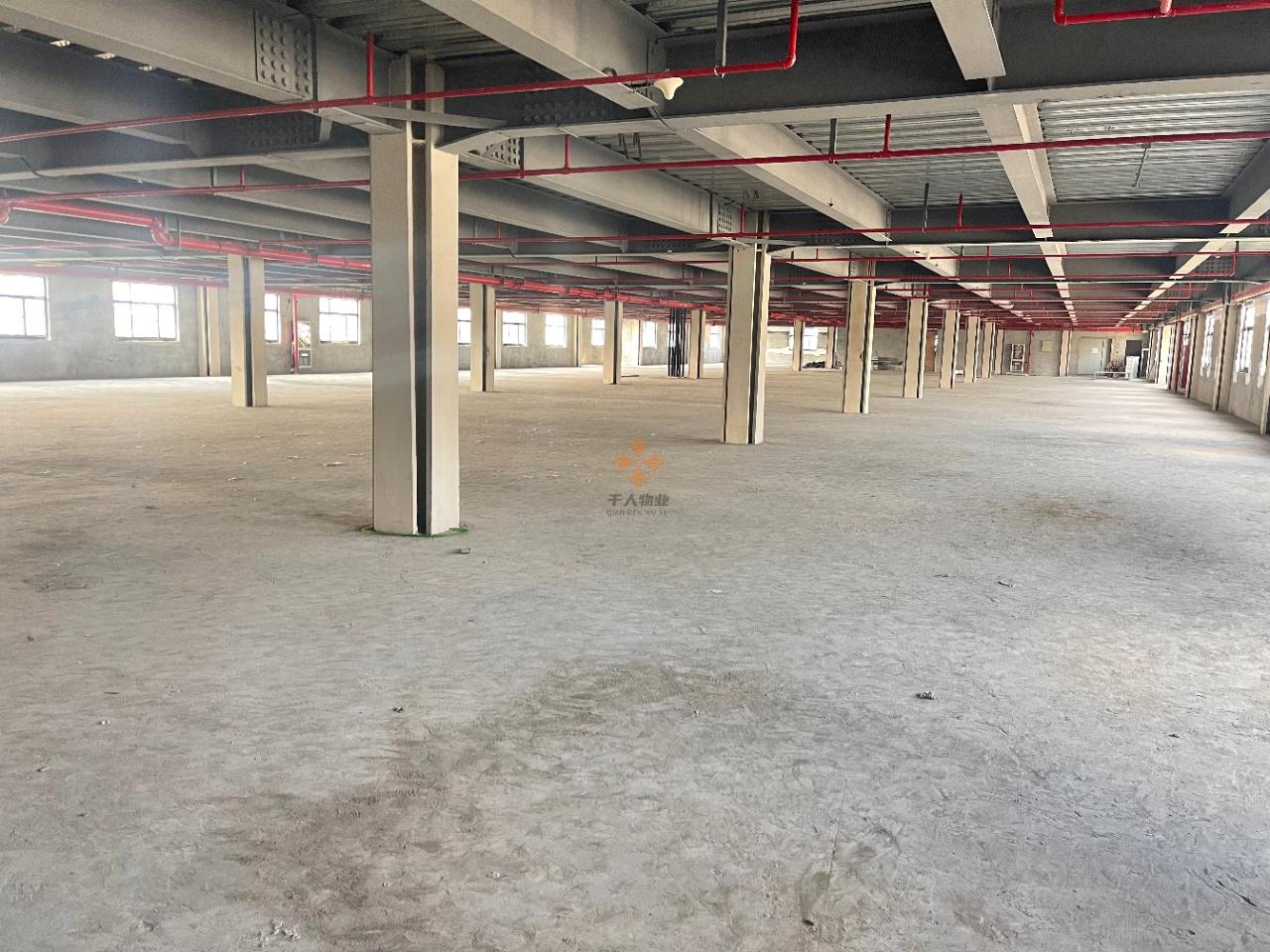  復旦大學 國家大學科技園創(chuàng)新創(chuàng)業(yè)基地 3000平米 毛坯
